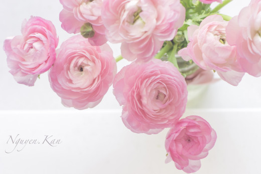 763600 (a): :2500x1660